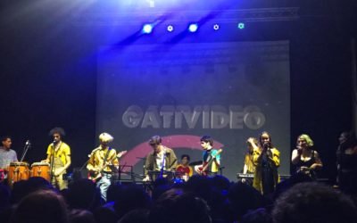 Gativideo puso a bailar al Clave 13/17