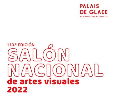 Premio Salón Nacional de Artes Visuales