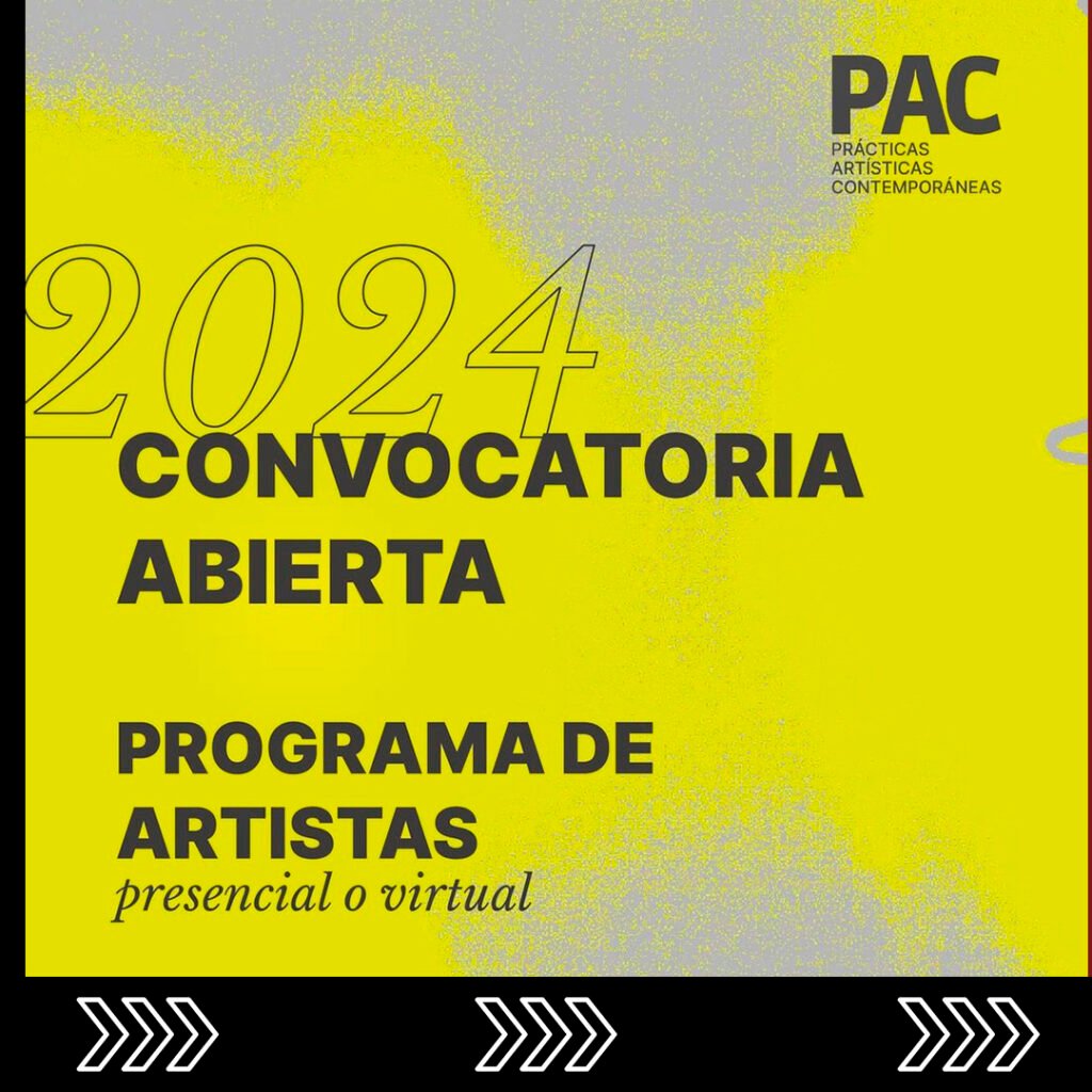 Proyecto PAC Gachi Prieto Programas de formación para artistas