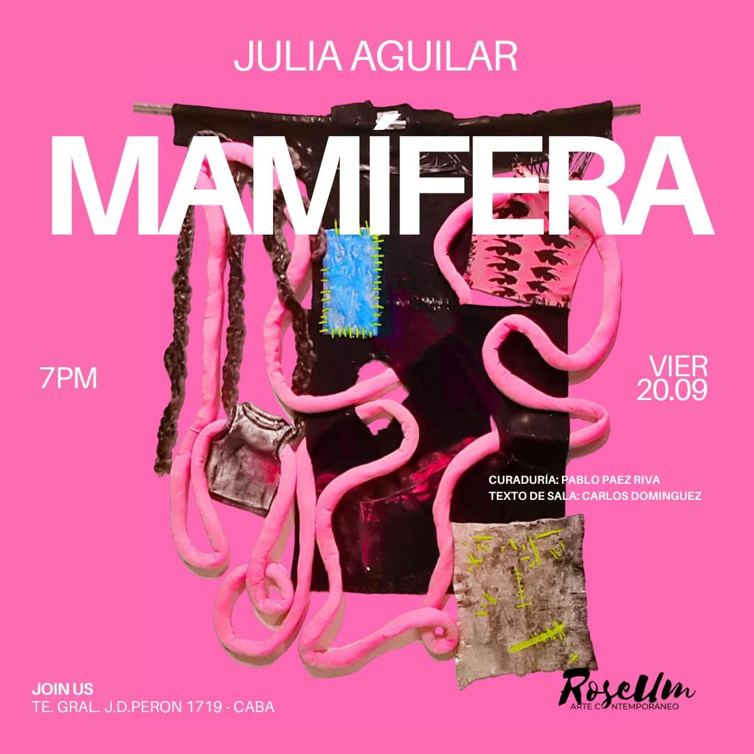 Julia Aguilar Roseum Arte Contemporáneo