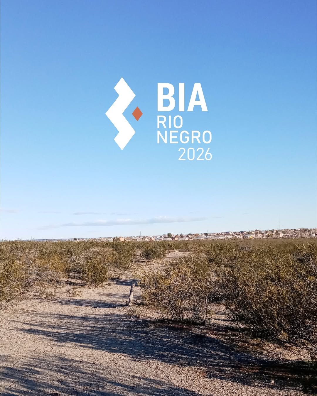 III Bienal Internacional de Arte de Río Negro 2026