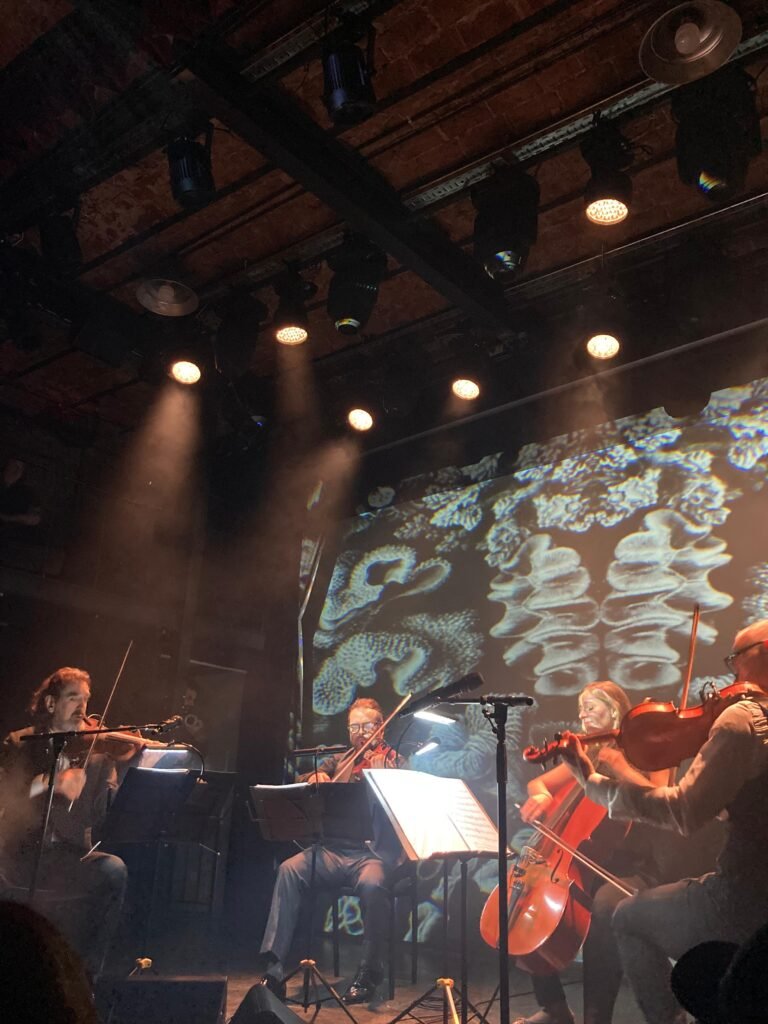Cuarteto Divergente 5