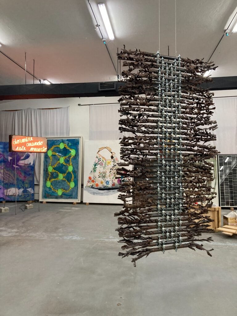 Esteban Tedesco coleccionista de arte contemporáneo 13