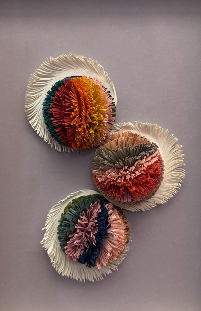 Colección Rivarola 17