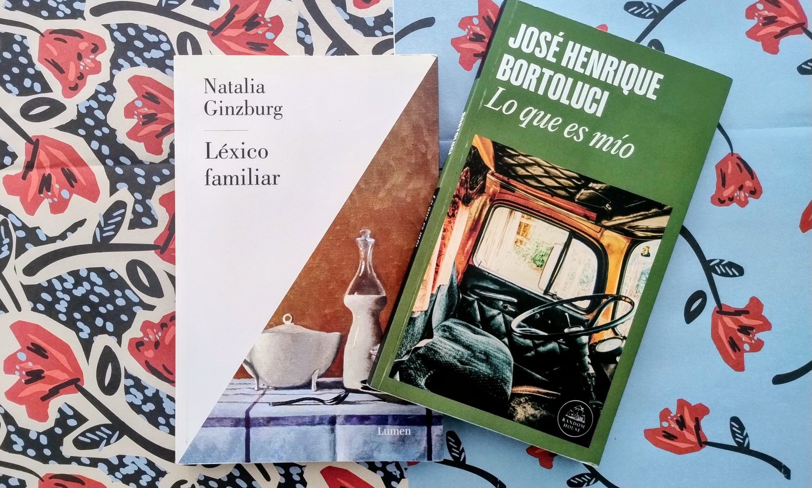 Jose Henrique Bortoluci