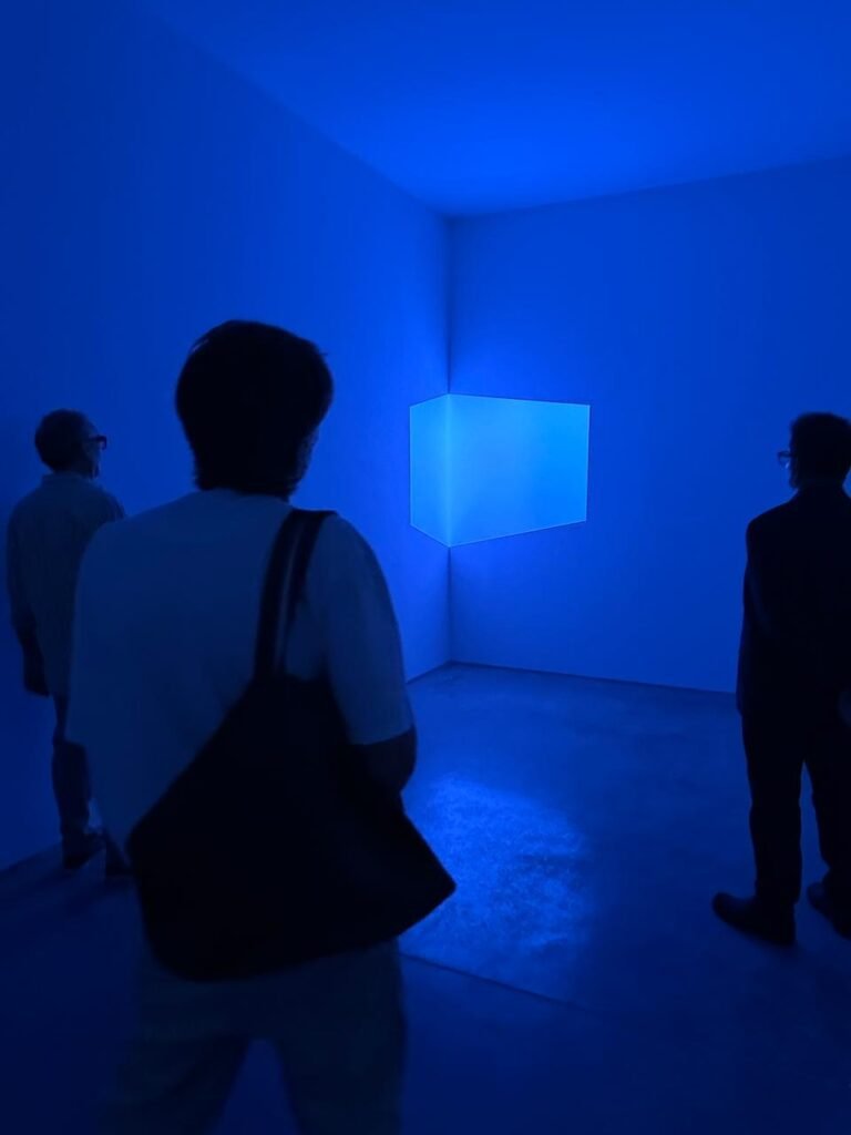 Penumbra Fundación Proa 13