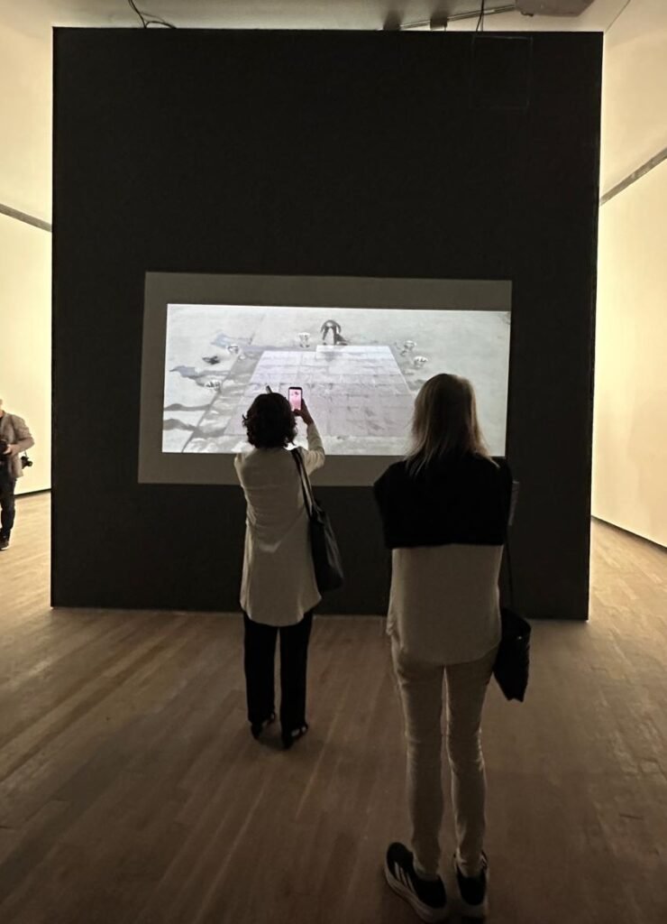 Penumbra Fundación Proa 14