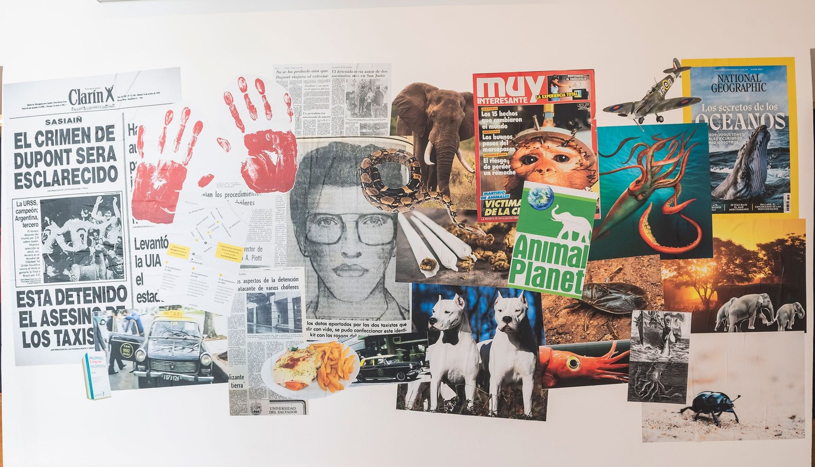 CARLOS BUSQUED CENTRO CULTURAL RECOLETA