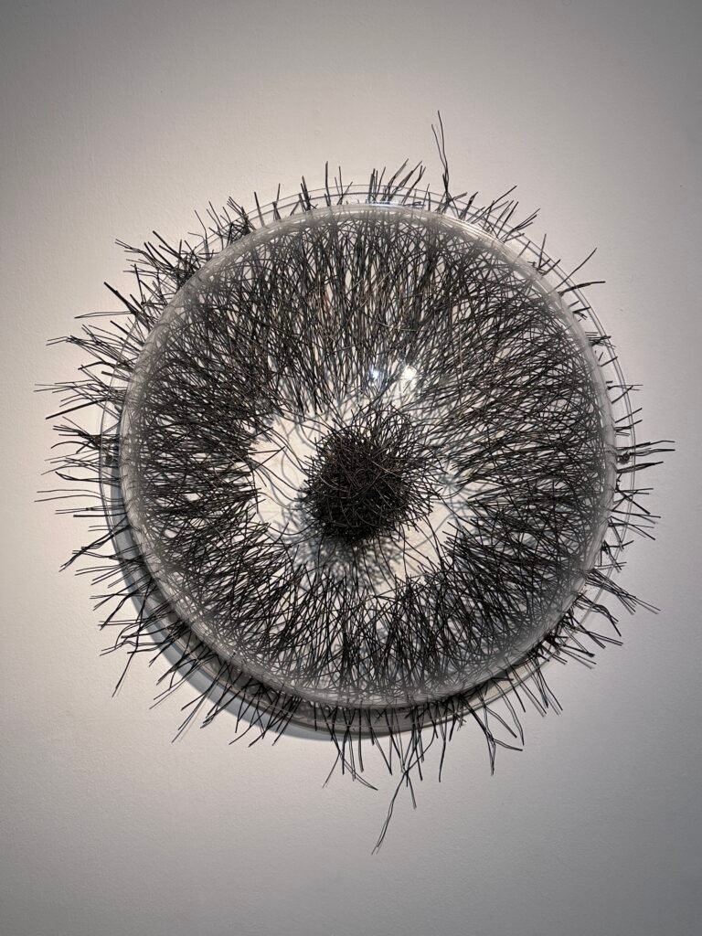 Marcelo Toledo Casa Nacional del Bicentenario 10