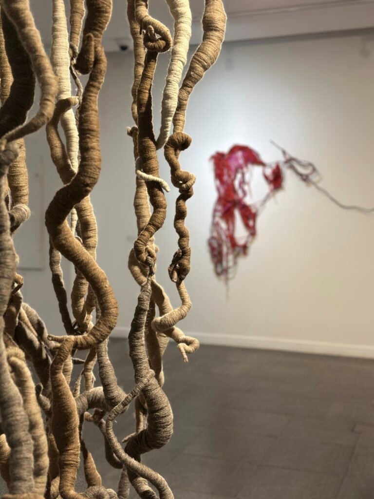 Marcelo Toledo Casa Nacional del Bicentenario 3