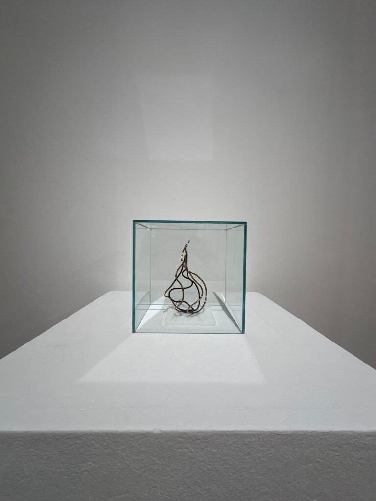 Marcelo Toledo Casa Nacional del Bicentenario 8