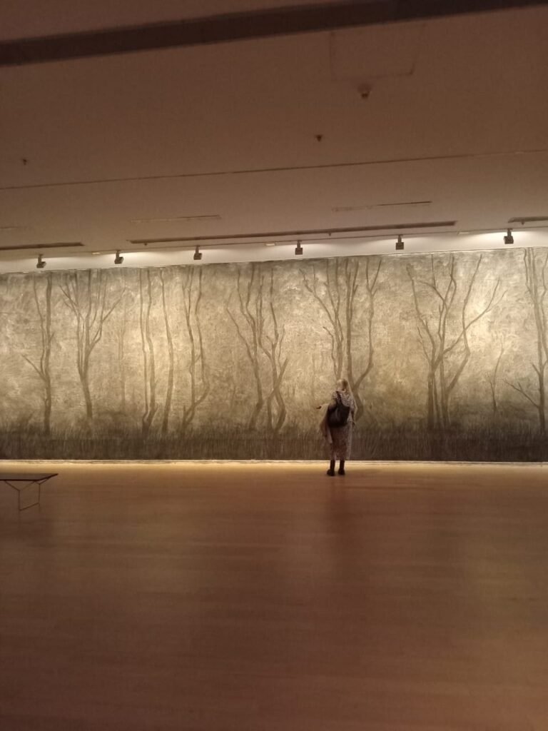 Museo Moderno Buenos Aires 70 años 10