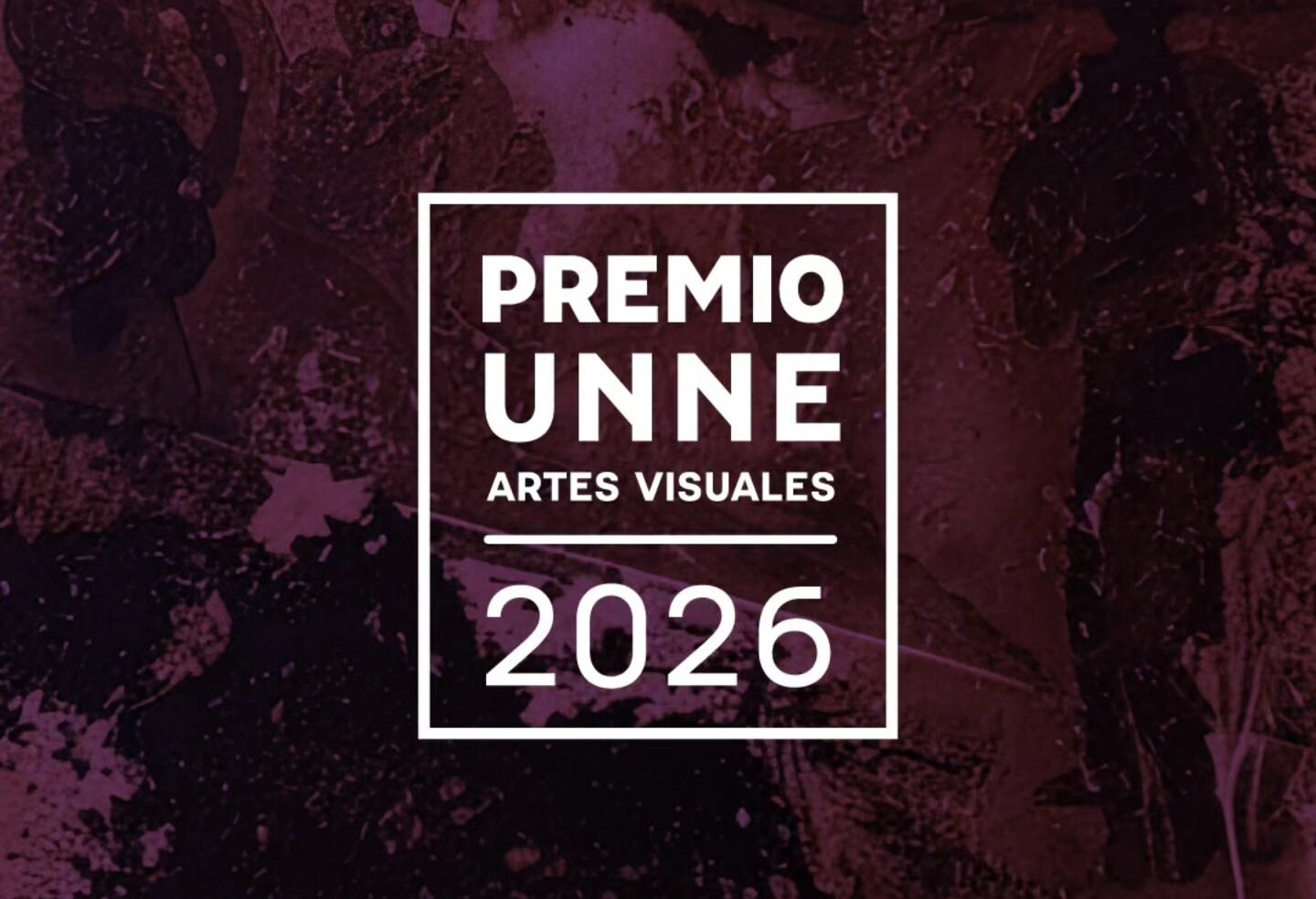 Premio UNNE Artes Visuales 2026