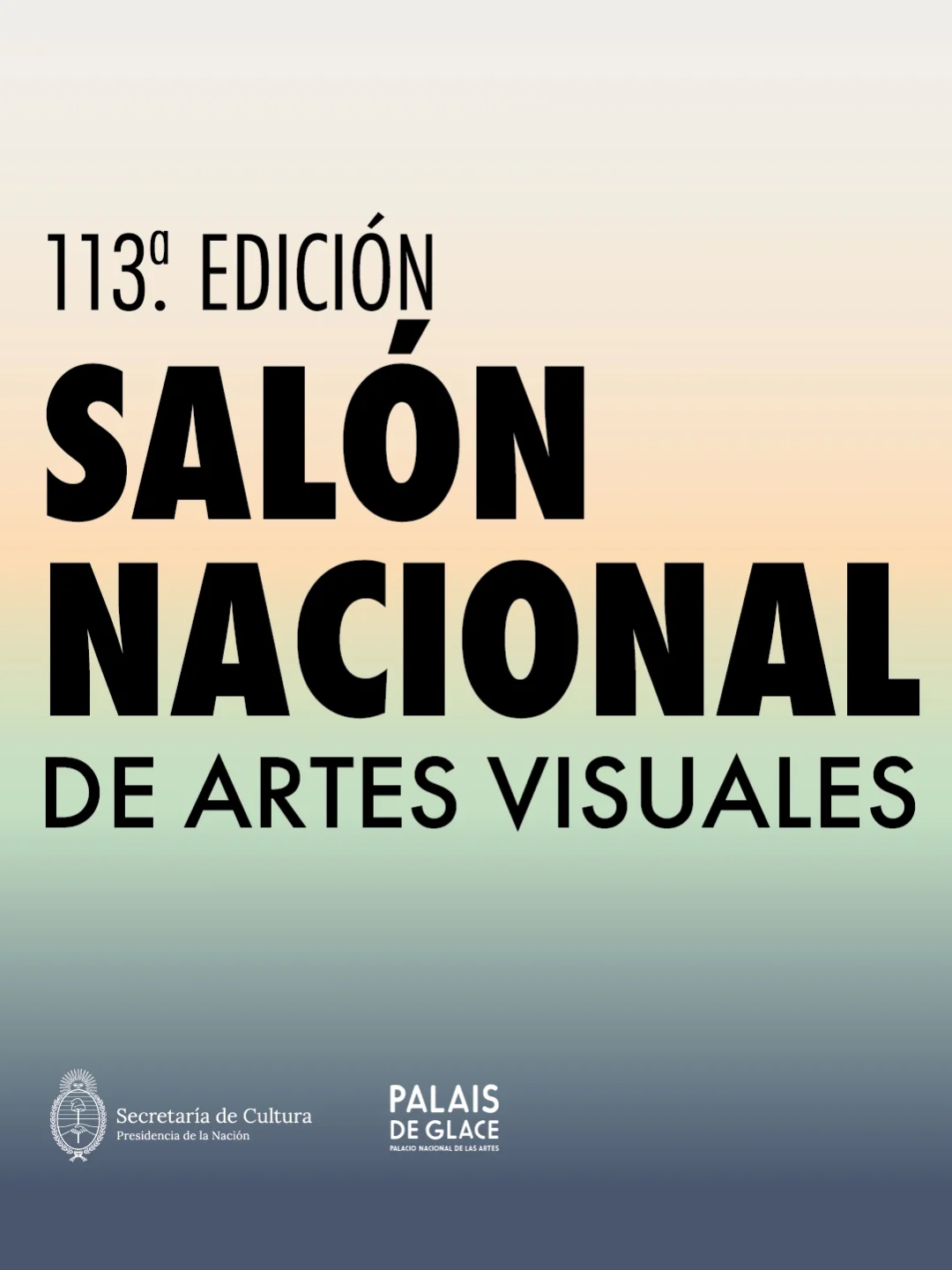 Salón Nacional de Artes Visuales 2026