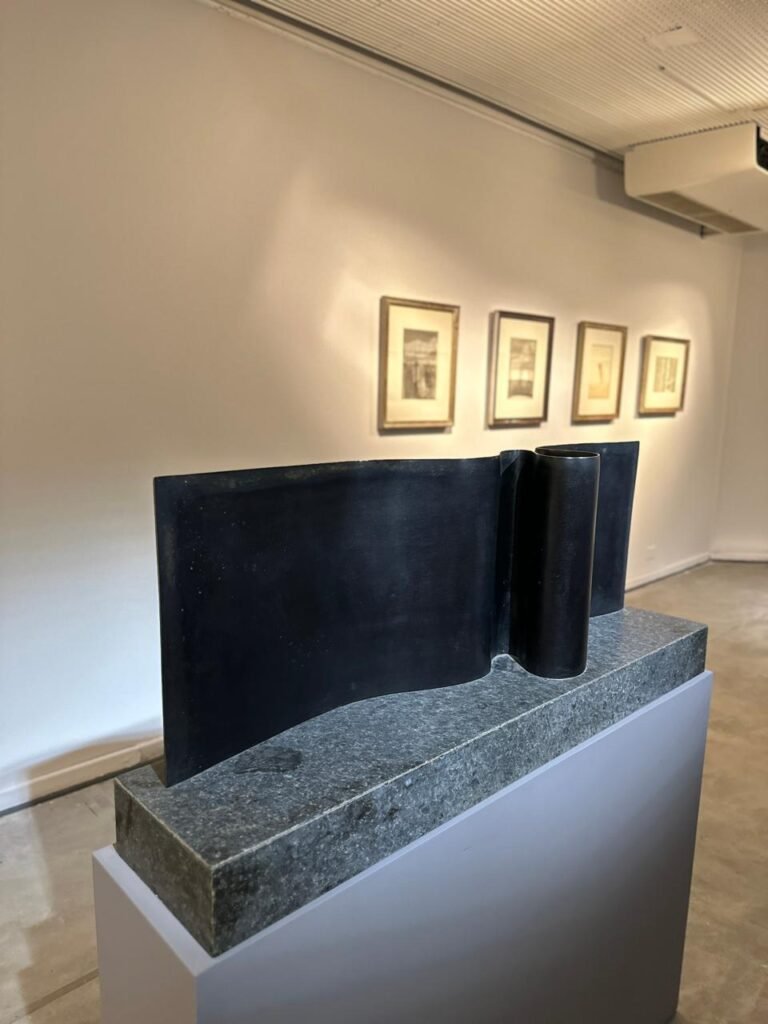 Vechy Logioio Bellas Artes 5
