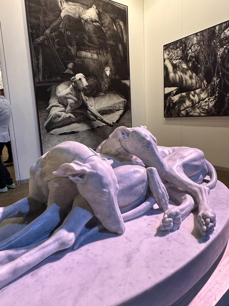 Arteba 2026 10